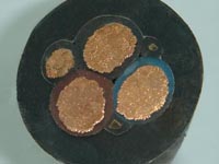 �d�I������|